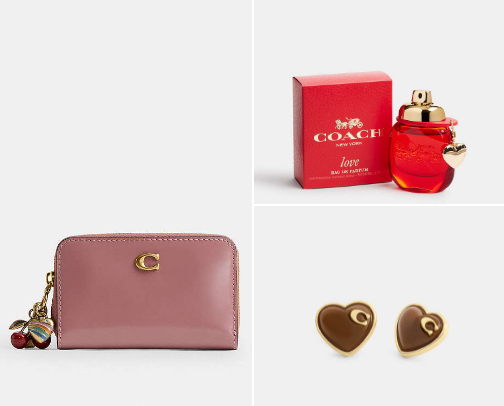 Sparkle and Love with Coach💗💖 cover photo collage