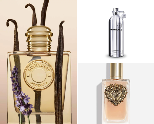 Scent & sensibility
(perfumes and how to smell good) cover photo collage