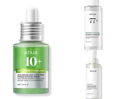 The best skin care products anua cover photo collage