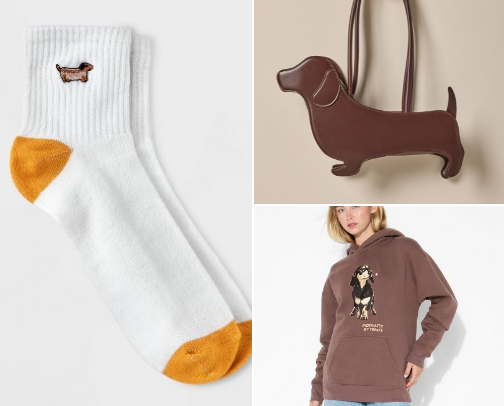 Dachshund Finds cover photo collage