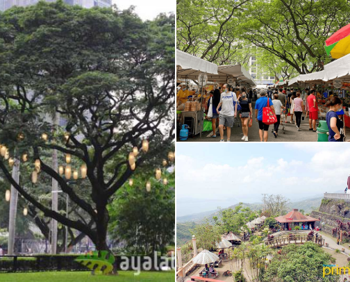 Things to do cover photo collage