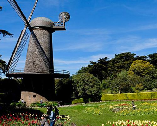 My top San Francisco recs cover photo collage
