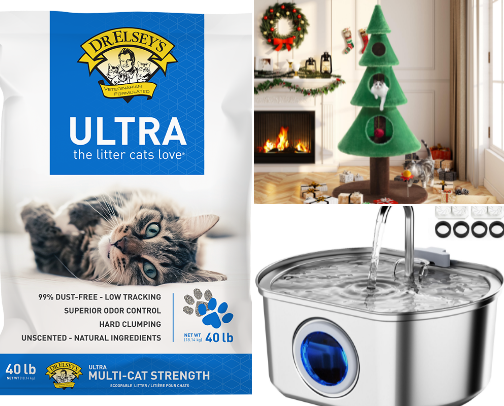 All things ✨️Cat✨️ cover photo collage