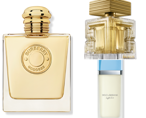The Scent Edit ✨ cover photo collage