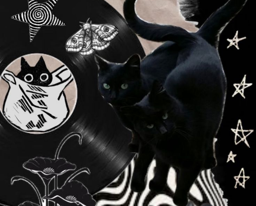 Cat Essentials 🧸 cover photo collage