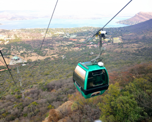 My Ultimate South Africa Activity Guide: Adventures, Hidden Gems & More cover photo collage