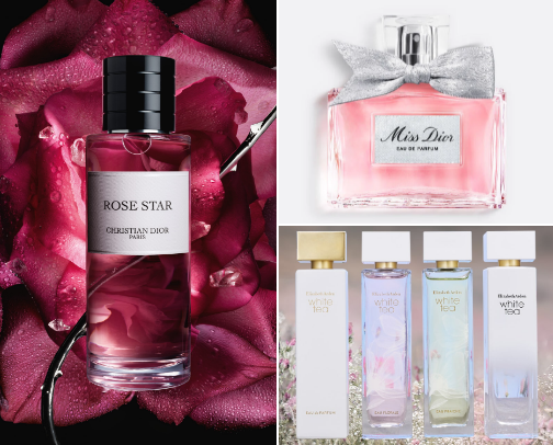Copy of Copy of Copy of Scent of perfume cover photo collage