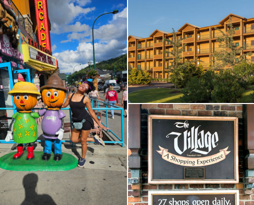 My Trip To Gatlinburg, TN cover photo collage