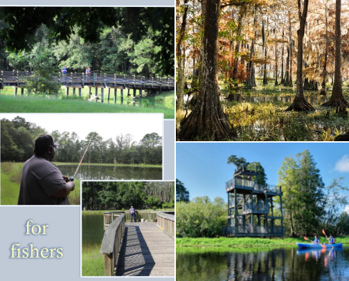 Nature & Park Recommendations 🌳
Recommendations in Florida & Georgia 🌴🍑 cover photo collage