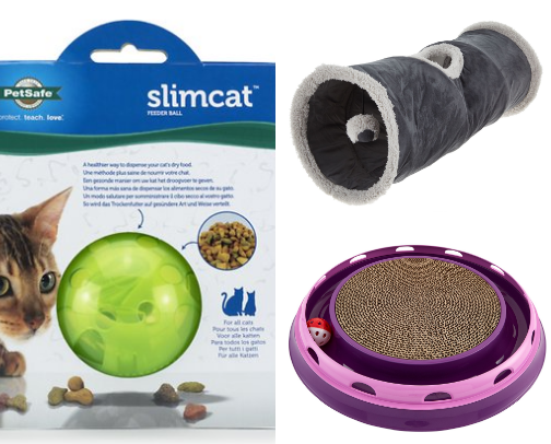 Best Kitten Toys for Energy, Enrichment and Playtime cover photo collage