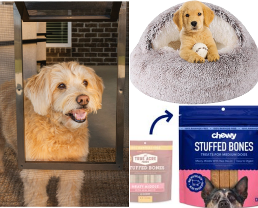 Preparing my fur baby for baby 👶 🐾 cover photo collage