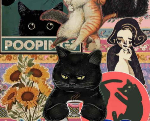 🐈‍⬛ Ultimate Cat Essentials Guide🐾 cover photo collage