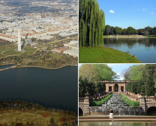 Spots in the DMV cover photo collage