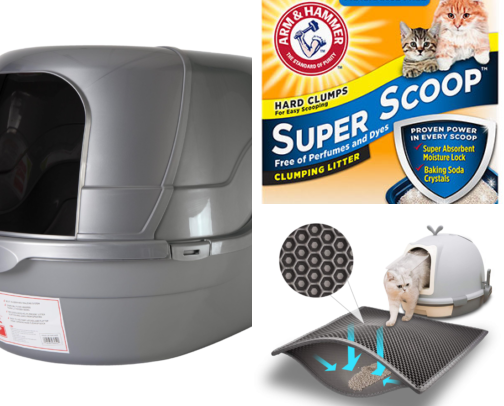 Dorm Cat Essentials — Life With Binx cover photo collage