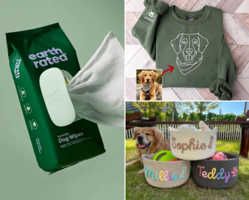 My 🐾 Cavalier King Charles Spaniel 🐾 Recs cover photo collage