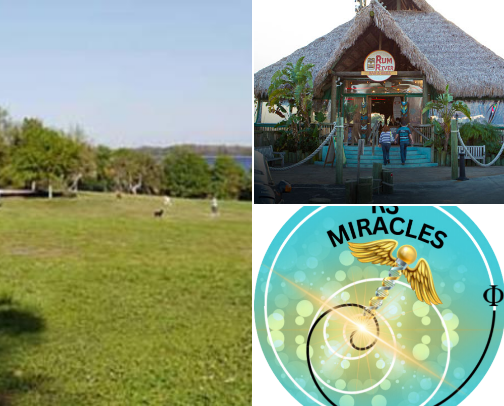 My favorite finds around Palm Harbor, Dunedin & Tarpon Springs 🌴☀️ From great restaurants and local hidden gems to waterfront spots, shopping and fun things to do, these are places I genuinely enjoy and would recommend to a friend. I’m always exploring, so I’ll keep adding new favorites as I find them. cover photo collage