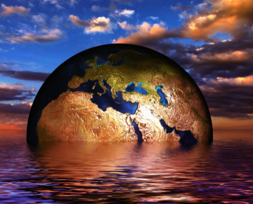 Easy Reads for Sustainability cover photo collage
