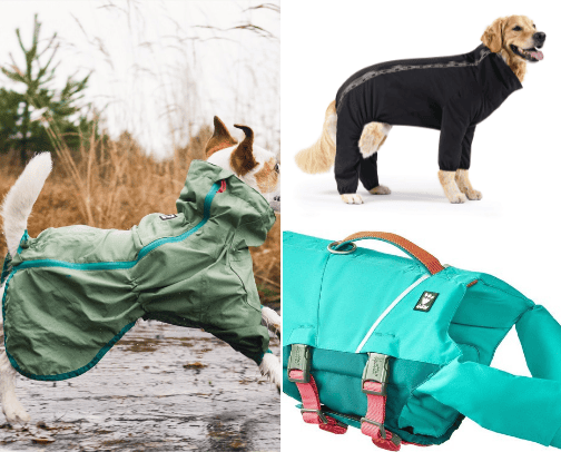 Tail-wagging fashion at its finest! cover photo collage
