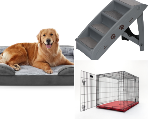 Senior Dog Favorites: Comfort, Mobility, and Wellness Picks cover photo collage