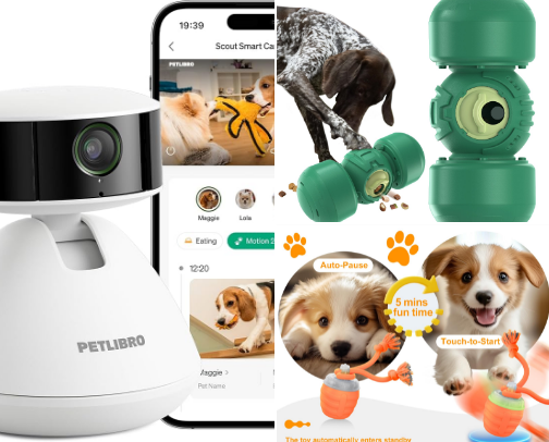 What to Do When You Leave Your Pets Behind cover photo collage