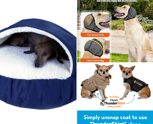 Help Your Canine Friend With Their Anxiety cover photo collage