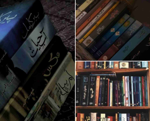 Emotions, Unfiltered: My Shelf Therapy cover photo collage