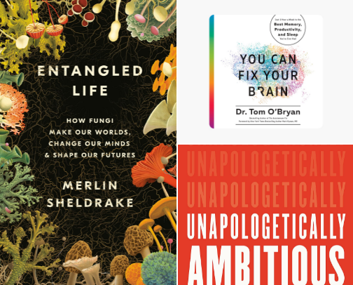 Best Books I Read in 2024 cover photo collage