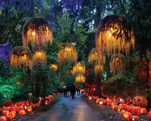 What to do in Indianapolis! cover photo collage