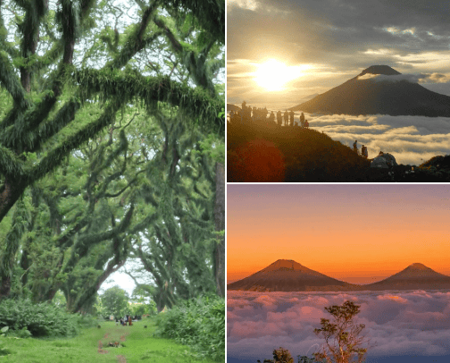 Hidden gems, holiday destination play with nature cover photo collage