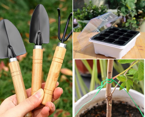 Gardening Needs Recommendation 🌷🌱 cover photo collage