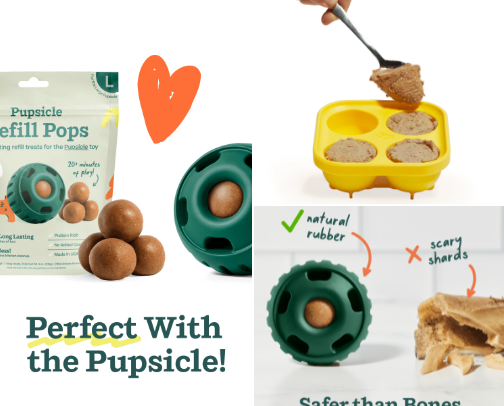 Puppy Essentials: How We Survived the Puppy Stage cover photo collage