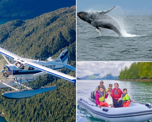 The Ultimate Ketchikan Cruise Port Guide: Best Excursions & Rainy Day Itineraries cover photo collage