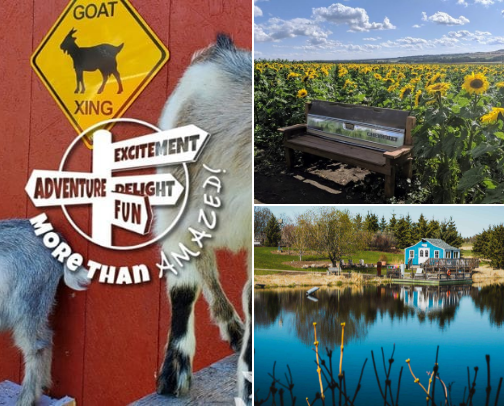 Fall Activities & Places to Visit in Alberta cover photo collage