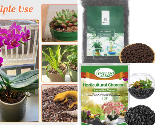 Plant Care cover photo collage
