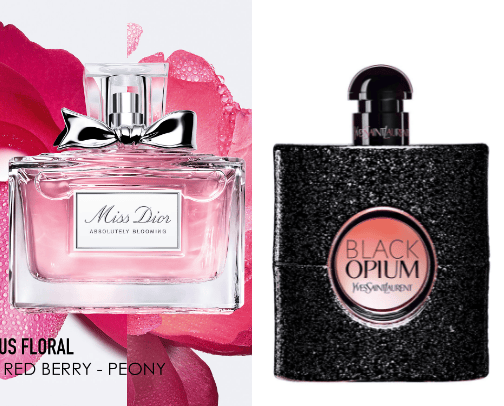 perfumes cover photo collage