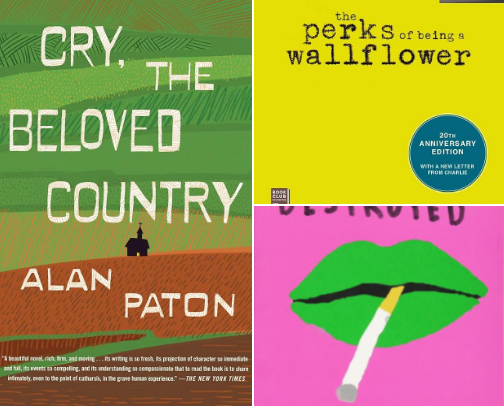 My Fav Books 📚 cover photo collage