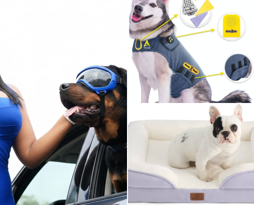 WOW!  HOW I CHANGED MY  DOGS LIFE cover photo collage