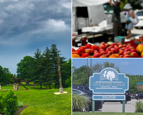 My STL Bucket List cover photo collage