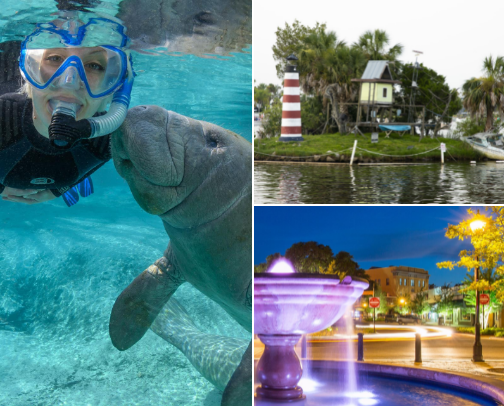Best places to stay in Citrus County Florida for Summer Trips! cover photo collage