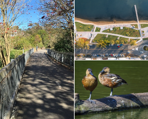 Best bike  tracks in the Hunter Region cover photo collage