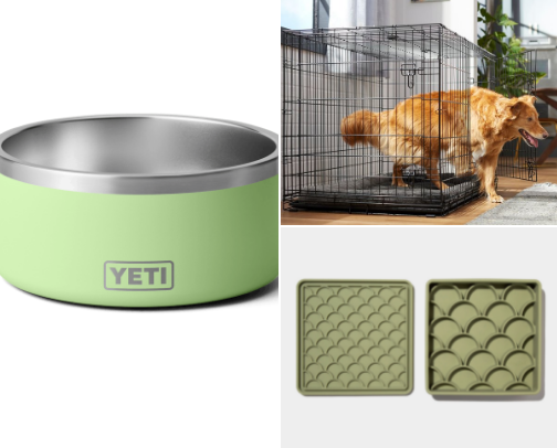 🐶 Puppy Essentials Checklist – Must-Have Items for Your New Dog! cover photo collage