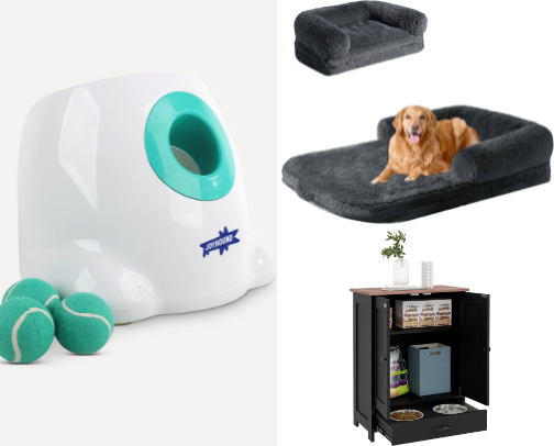 everything for dogs cover photo collage