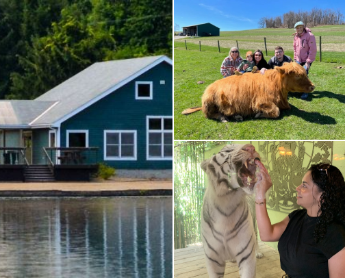 Experiences cover photo collage