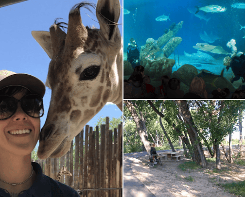 Albuquerque, New Mexico | Things to do cover photo collage