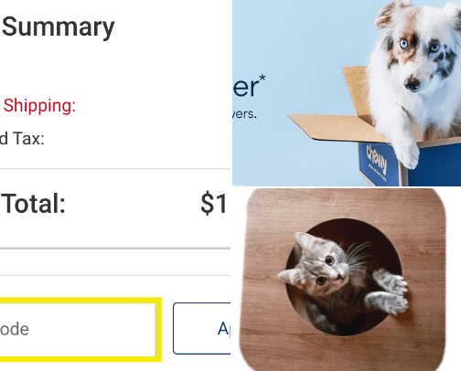 Your Pets MUST HAVES cover photo collage