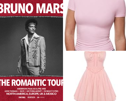 Concert Essentials & Outfit Inspo🎶 cover photo collage