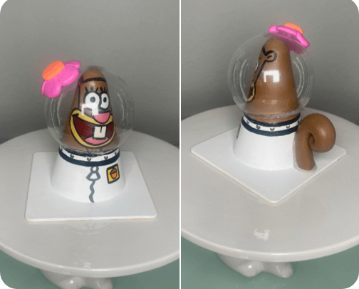 Sandy Cheeks cover photo collage