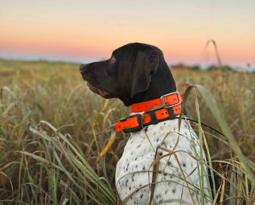 Go to hunting gear cover photo collage