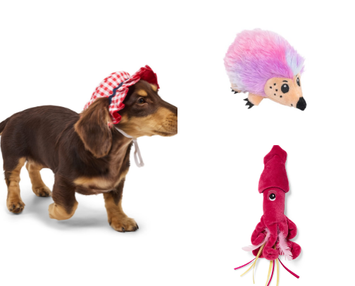 Summer of Fun: Must Haves for Dogs and Cats and Wildlife at Petco cover photo collage