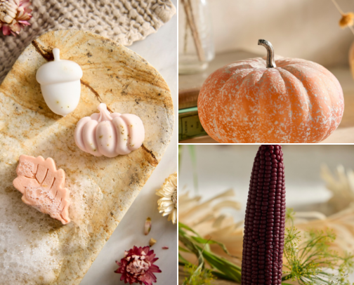 Fall and Halloween Decor cover photo collage